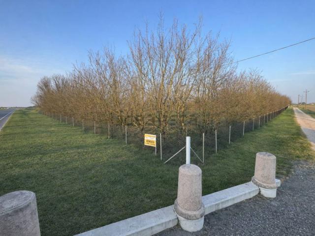 Case e ville in vendita di 220 m²