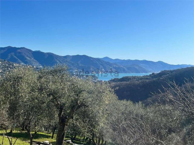 Case e ville in vendita di 220 m² in Via Pero