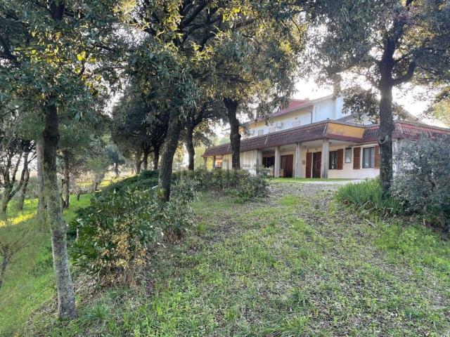 Case e ville in vendita di 2509 m² in Strada Micaloro, 8