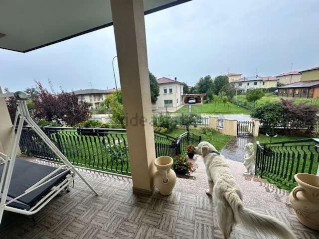 Case e ville in vendita di 250 m²