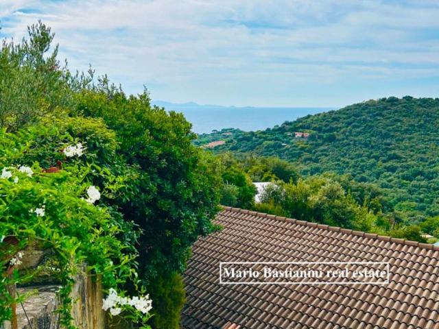 Case e ville in vendita di 250 m² in Via di Poggio alle Mandrie