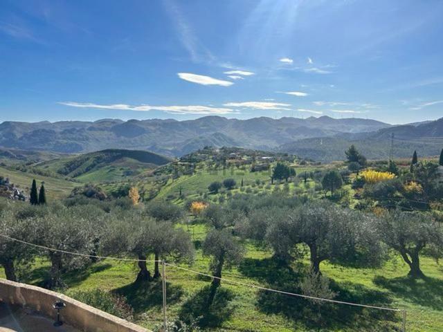 Case e ville in vendita di 268 m² in Contrada Nannu