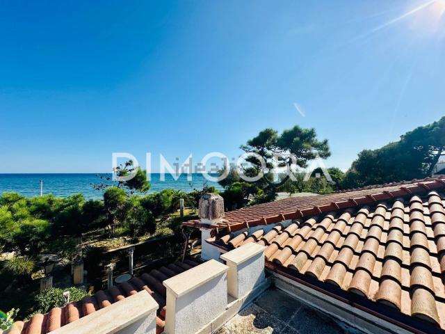 Case e ville in vendita di 280 m² in Strada Provinciale 87