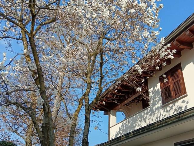 Case e ville in vendita di 285 m² in Via Pola
