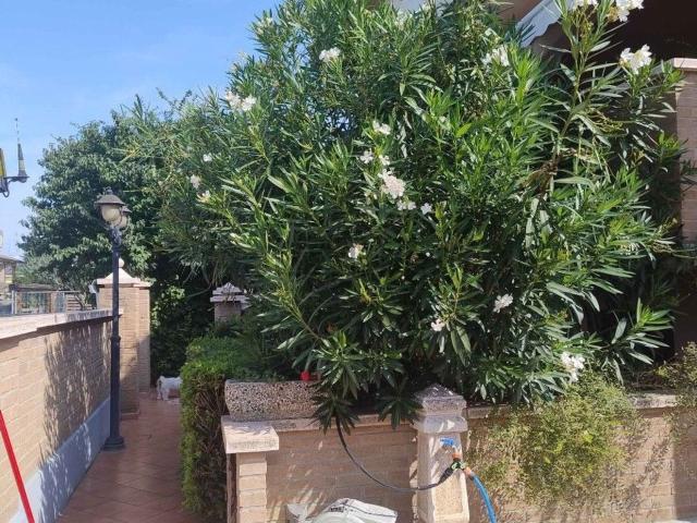Case e ville in vendita di 300 m²