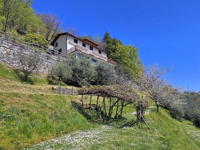 Case e ville in vendita di 300 m² in Via del Giardino, 19