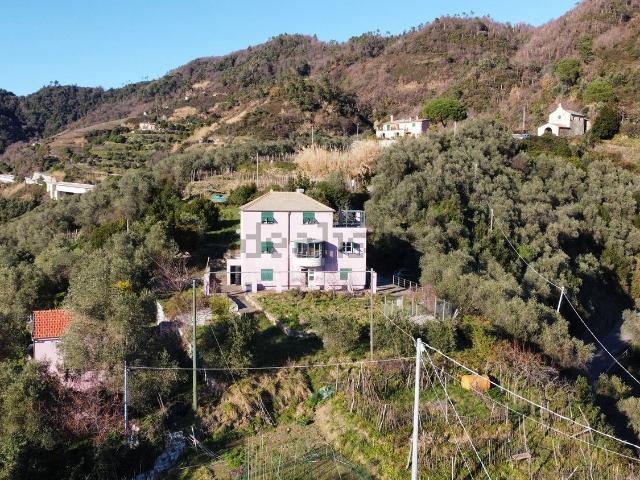 Case e ville in vendita di 300 m² in Località Sorlana