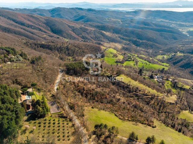 Case e ville in vendita di 310 m² in Località Calcinaio