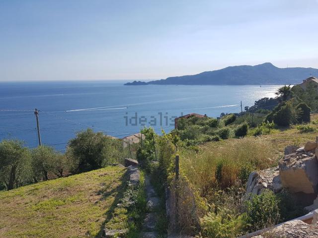 Case e ville in vendita di 320 m²