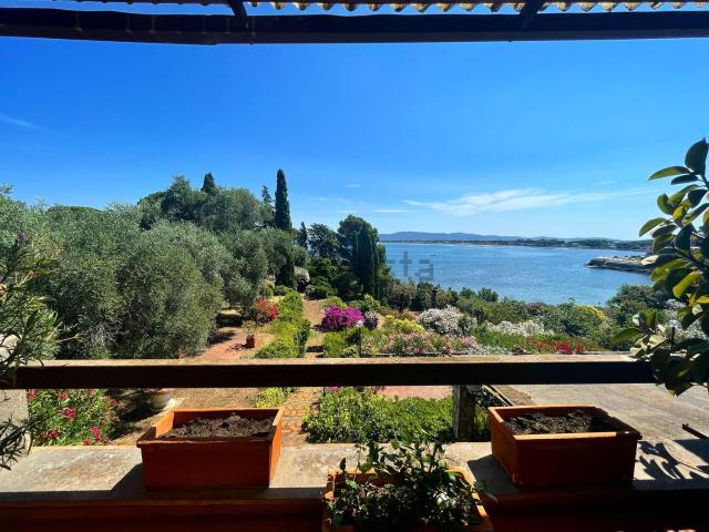 Case e ville in vendita di 320 m² in Strada Provinciale di Porto Santo Stefano