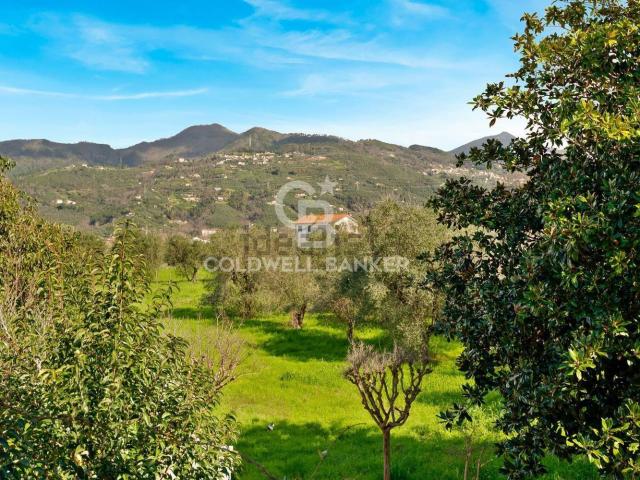 Case e ville in vendita di 335 m² in Via Pisanica, 124