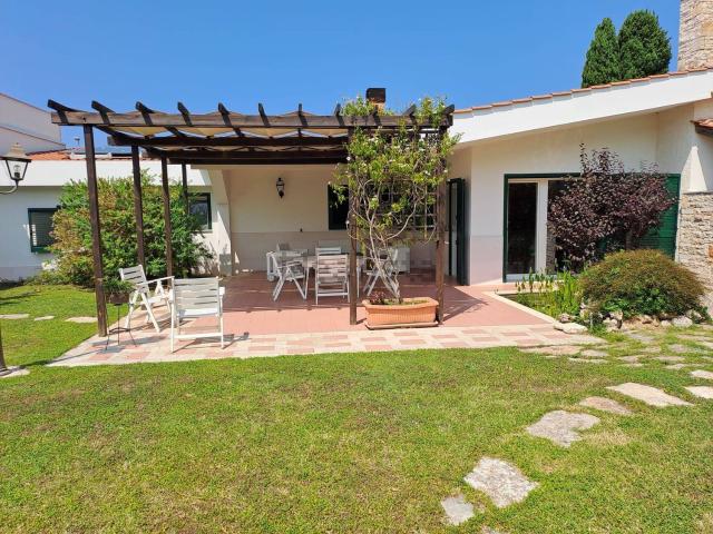 Case e ville in vendita di 343 m² in Via L. di Molfetta, 233