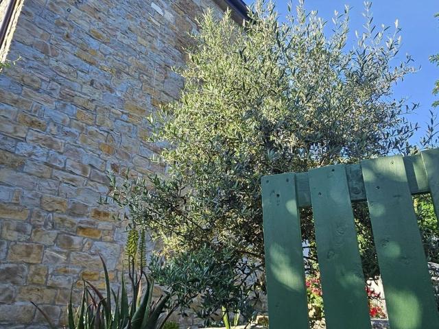 Case e ville in vendita di 350 m² in Località Lazzaretto, 2