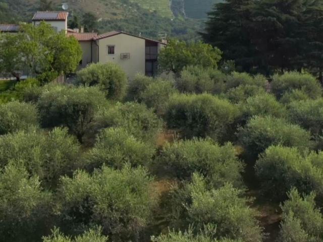 Case e ville in vendita di 353 m²