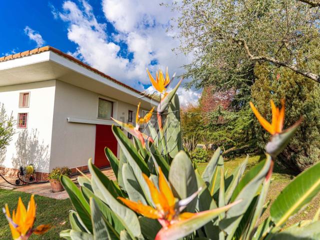 Case e ville in vendita di 362 m² in Via fortezza