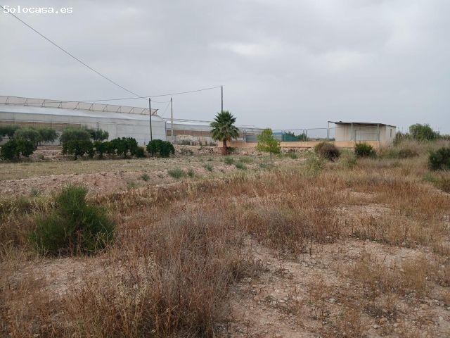 CASETA EN CREVILLENTE