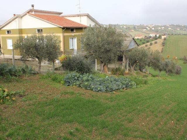 Casolare e Terreno in vendita a Civitella del Tronto, Borrano