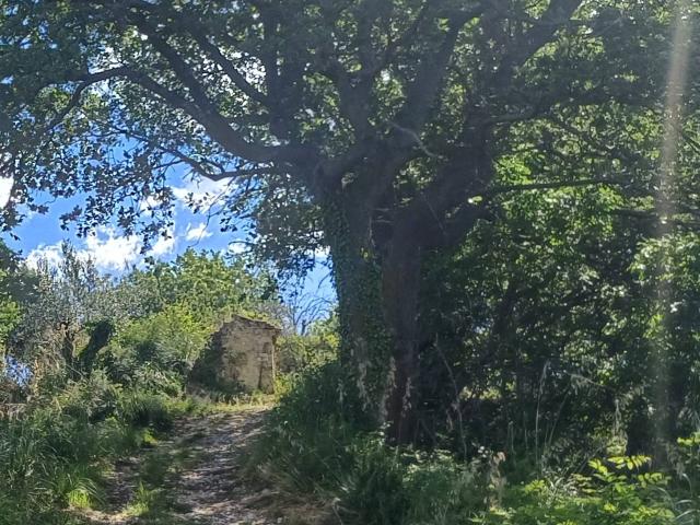 Casolare in vendita a Massignano