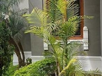 Casona Patrimonial en Venta+Barranco