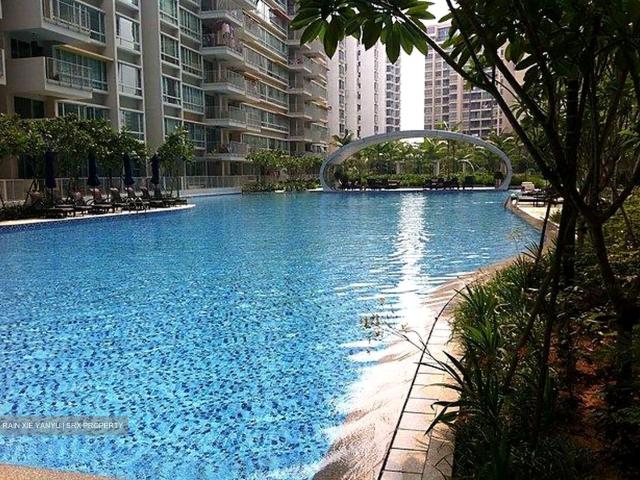 Caspian D22, Condominium