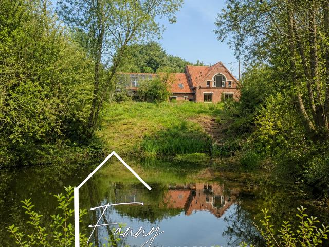 Cassel Vente Maison 59