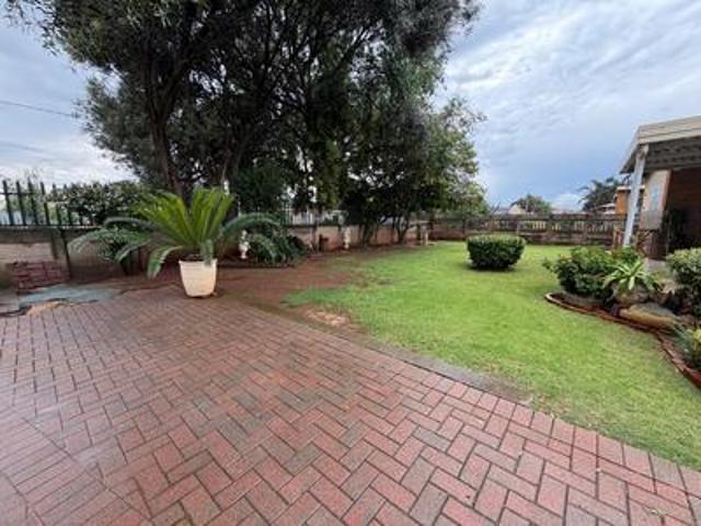 casseldale golden oldie for sale