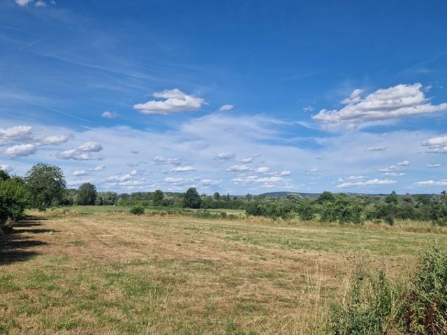 Cattenom Vente Terrain 57