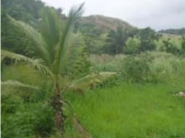 Cativá | terreno de 30 hectareas 5,851.7 m2, en cativa, colon