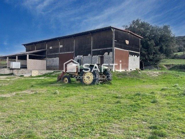 Caux Vente Terrain 34
