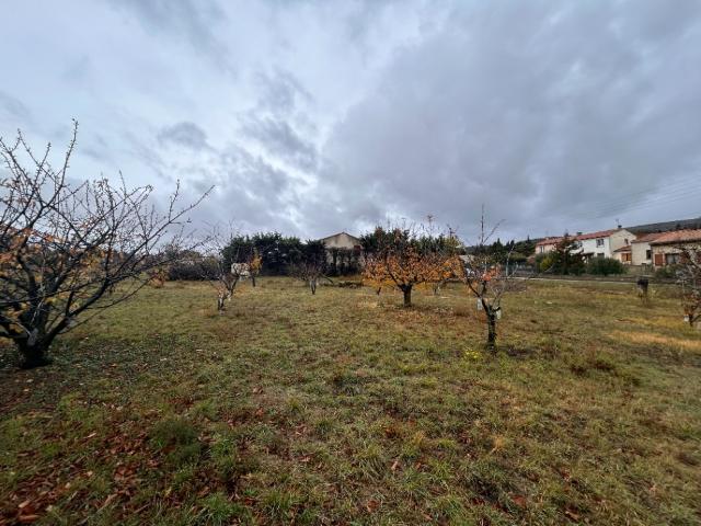 Caunes Minervois Vente Terrain 11