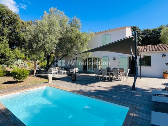 Cauro Vente Villa 20