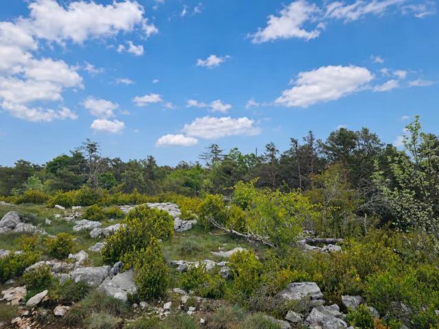 Caussols Vente Terrain 06