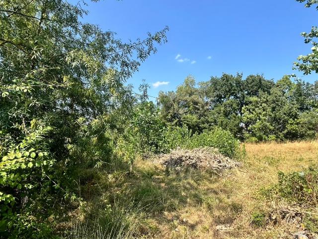 Caussade Vente Terrain 82
