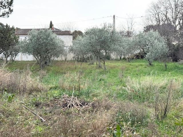 Cavaillon Vente Terrain 84