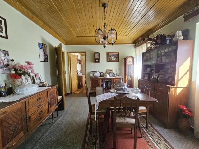 Cavaleiro Arganil 102811158