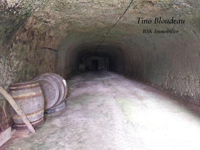 Cave voutée troglo
