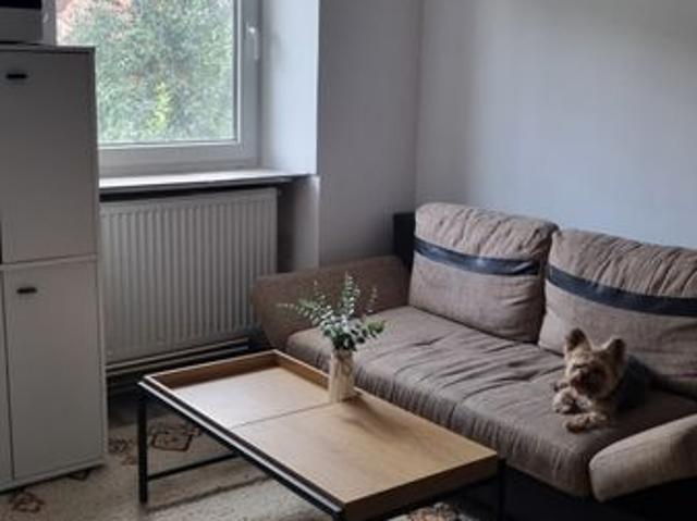 Cazare Electric Castle 4 persoane | Apartament Parcul Central