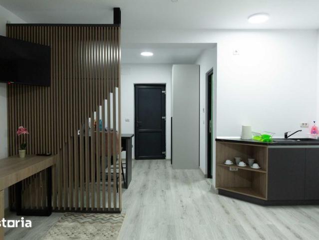 Cazare Studio Living Bucsoaia