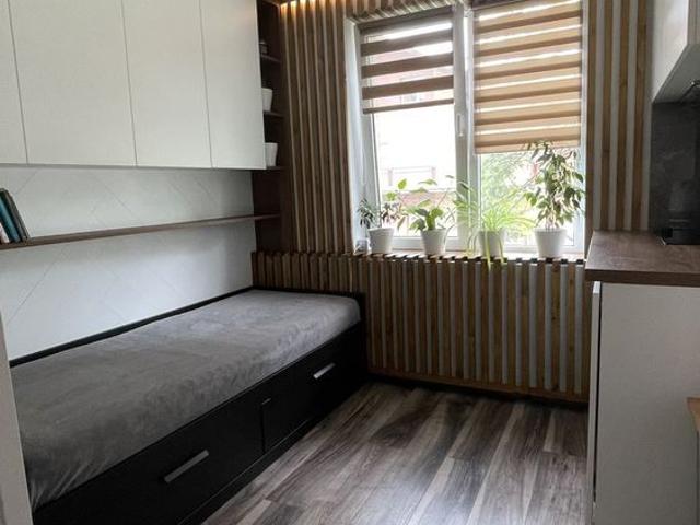 Cazare UNTOLD 2026 – Garsonieră complet utilată – 4 nopți – Str. Albac
