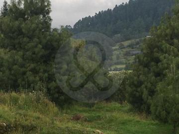 Cañada de Alferez: Casa en venta en Cañada de Alférez