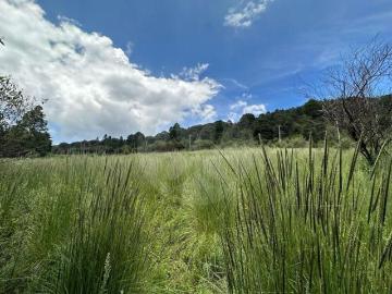 Cañada de Alferez: Terreno residencial en venta en Cañada de Alférez