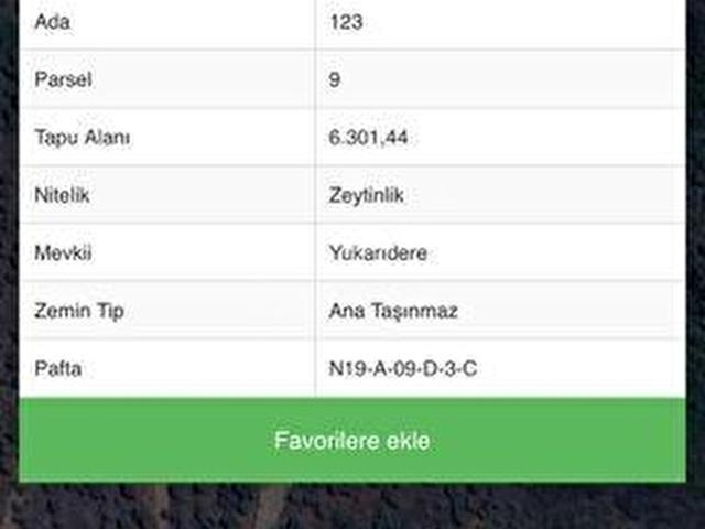 CB NİSH'TEN MİLAS SELİMİYE'DE SATILIK ZEYTİNLİK