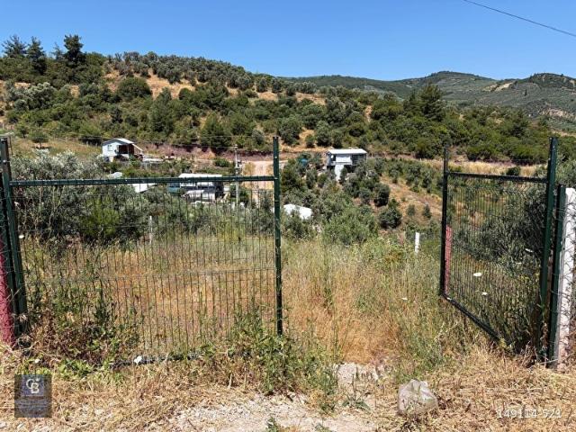 CB SILVER'DAN GEMLİK KURTUL'DA SATILIK HOBİ BAHÇESİ