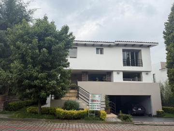 Cda de los Ahuehuetes