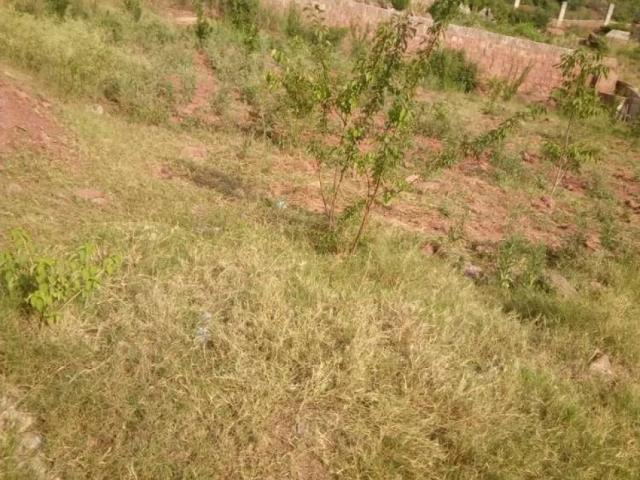CDA plot for sale comsats university chatha bakhtawar. 60 lac Islamabad Chatha Bakhtawar ID 16997