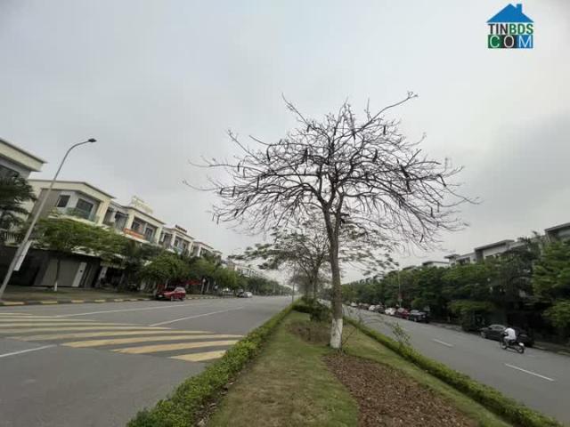 Centa City shophouse mặt Hữu Nghị kinh doanh sầm uất nhất TP. Từ Sơn