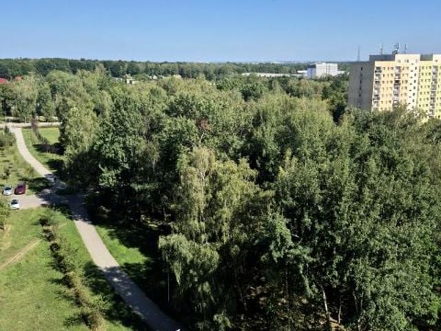 Centaura 36 m², Gliwice
