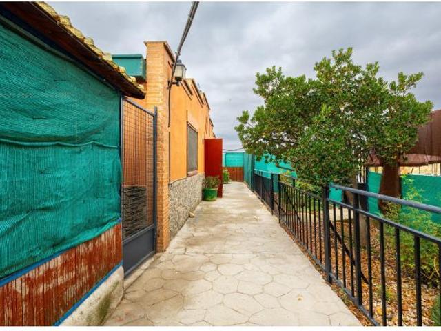 centro de adiestramiento y residencia canina a 25km de Guadalajara