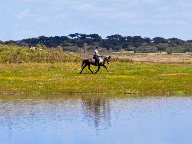 Centro equestre e à beira do lago com casa de campo de 3 leitos e vista para o lago próximo a Ourique