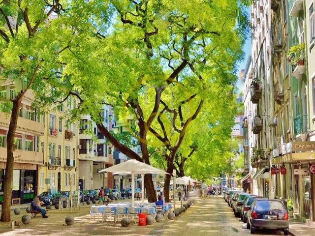CENTRO LISBOA / SALDANHA AV. NOVAS escritório em openspace